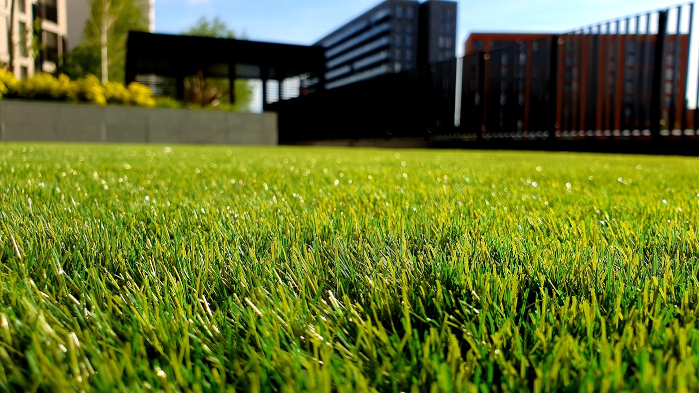 Plus Watch grounds care